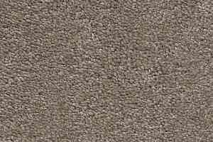 Ковролин AW Invictus Heroicus 37 фото  | FLOORDEALER